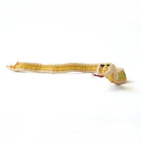 Aboriginal Artwork by Shirlleen Wilson - Snake Tjanpi Sculpture