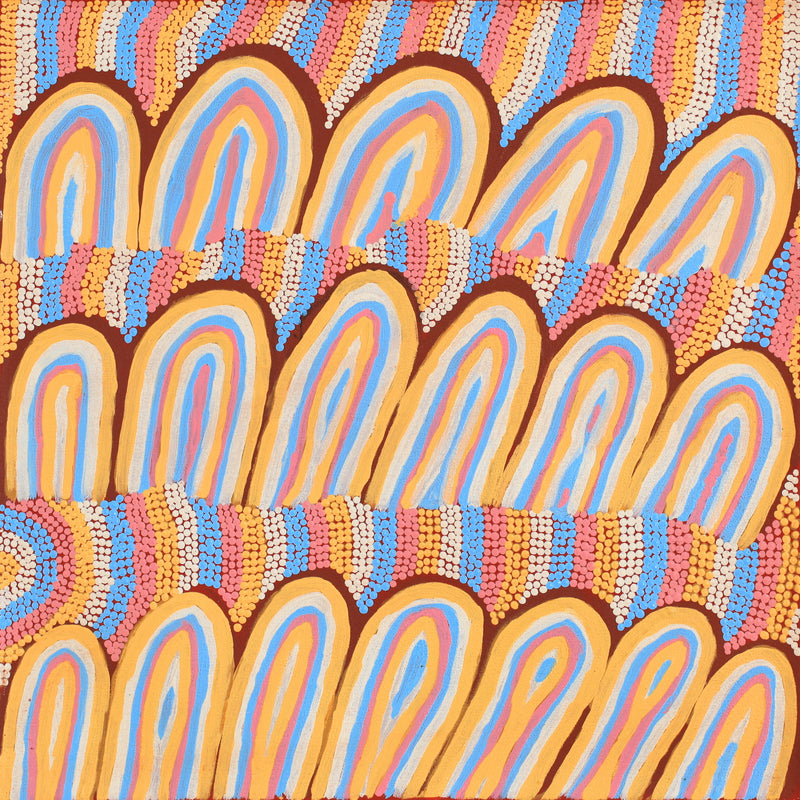 Aboriginal Artwork by Sonia Jugadai, Karrkurutinja - Lake Macdonald, 50x50cm