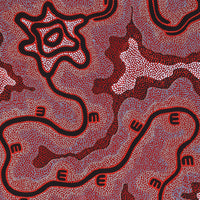Aboriginal Artwork by Stephanie Napurrurla Nelson, Janganpa Jukurrpa (Brush-tail Possum Dreaming) - Mawurrji, 152x61cm