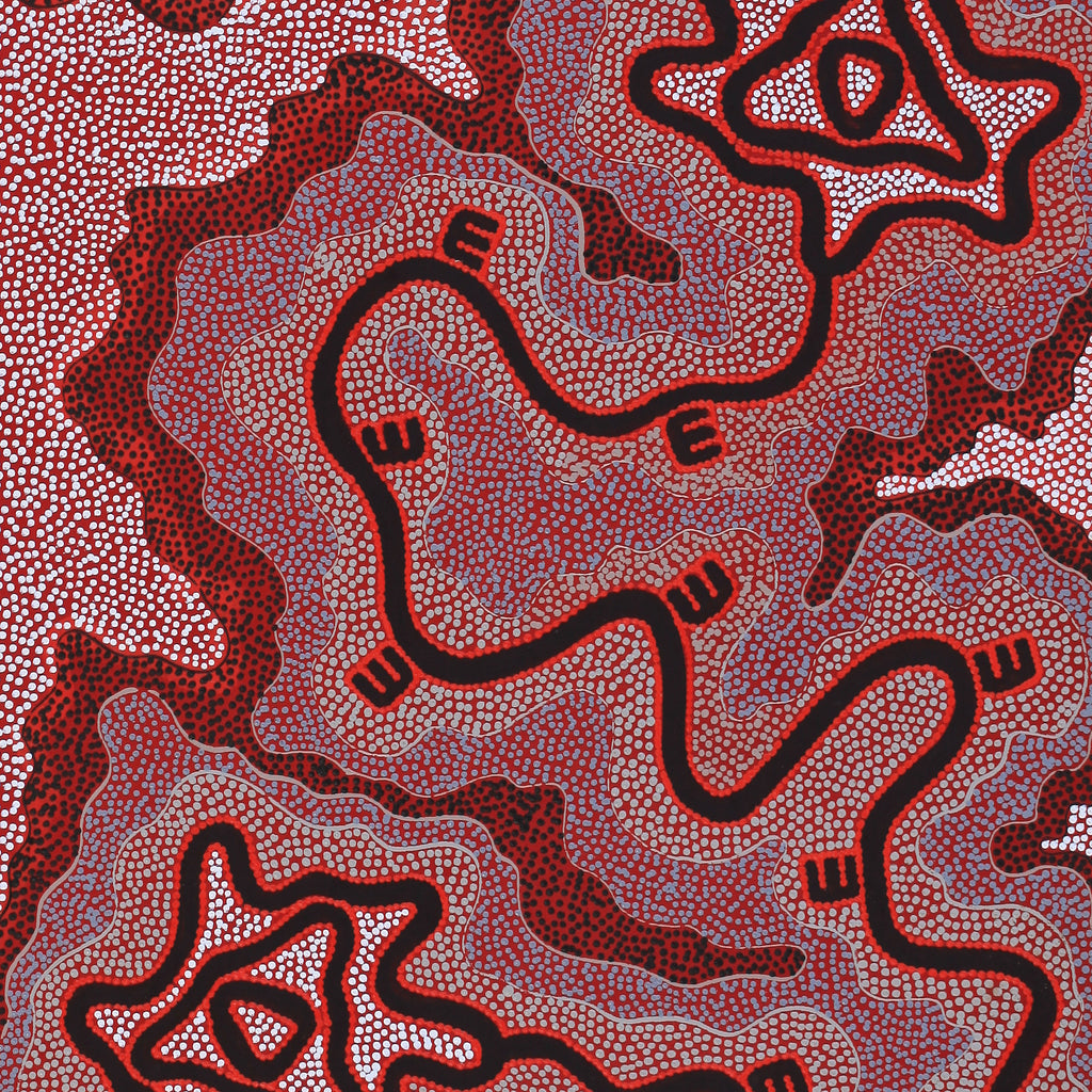 Aboriginal Artwork by Stephanie Napurrurla Nelson, Janganpa Jukurrpa (Brush-tail Possum Dreaming) - Mawurrji, 152x61cm