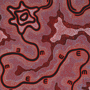 Aboriginal Artwork by Stephanie Napurrurla Nelson, Janganpa Jukurrpa (Brush-tail Possum Dreaming) - Mawurrji, 152x61cm - ART ARK®