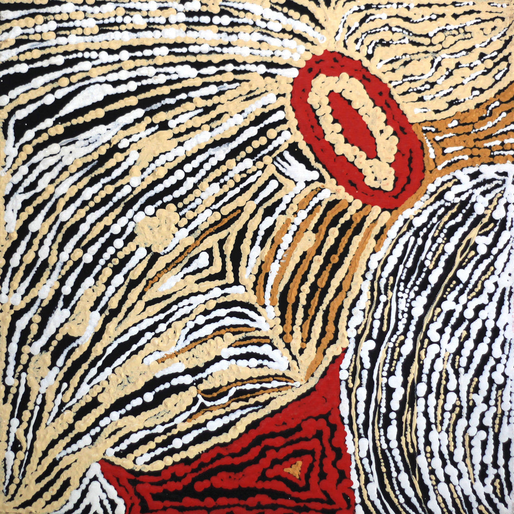 Aboriginal Artwork by Stephanie Napurrurla Nelson, Janganpa Jukurrpa (Brush-tail Possum Dreaming)- Mawurrji, 30x30cm