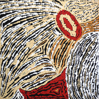 Aboriginal Artwork by Stephanie Napurrurla Nelson, Janganpa Jukurrpa (Brush-tail Possum Dreaming)- Mawurrji, 30x30cm