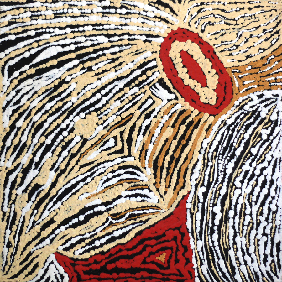 Aboriginal Artwork by Stephanie Napurrurla Nelson, Janganpa Jukurrpa (Brush-tail Possum Dreaming)- Mawurrji, 30x30cm