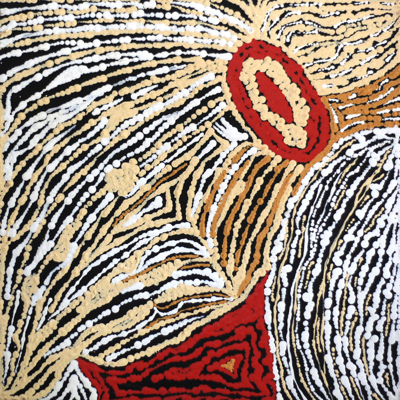 Aboriginal Artwork by Stephanie Napurrurla Nelson, Janganpa Jukurrpa (Brush-tail Possum Dreaming)- Mawurrji, 30x30cm
