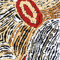 Aboriginal Artwork by Stephanie Napurrurla Nelson, Janganpa Jukurrpa (Brush-tail Possum Dreaming)- Mawurrji, 30x30cm
