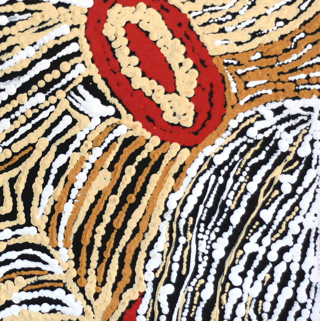 Aboriginal Art by Stephanie Napurrurla Nelson, Janganpa Jukurrpa (Brush-tail Possum Dreaming)-  Mawurrji, 30x30cm - ART ARK®