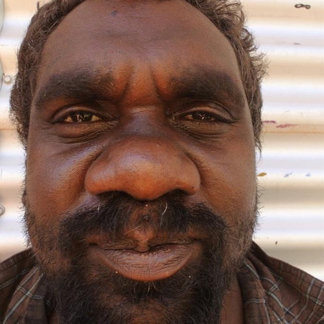 Aboriginal Artwork by Steven Jupurrurla Nelson, Janganpa Jukurrpa (Brush-tail Possum Dreaming) - Mawurrji, 182x76cm