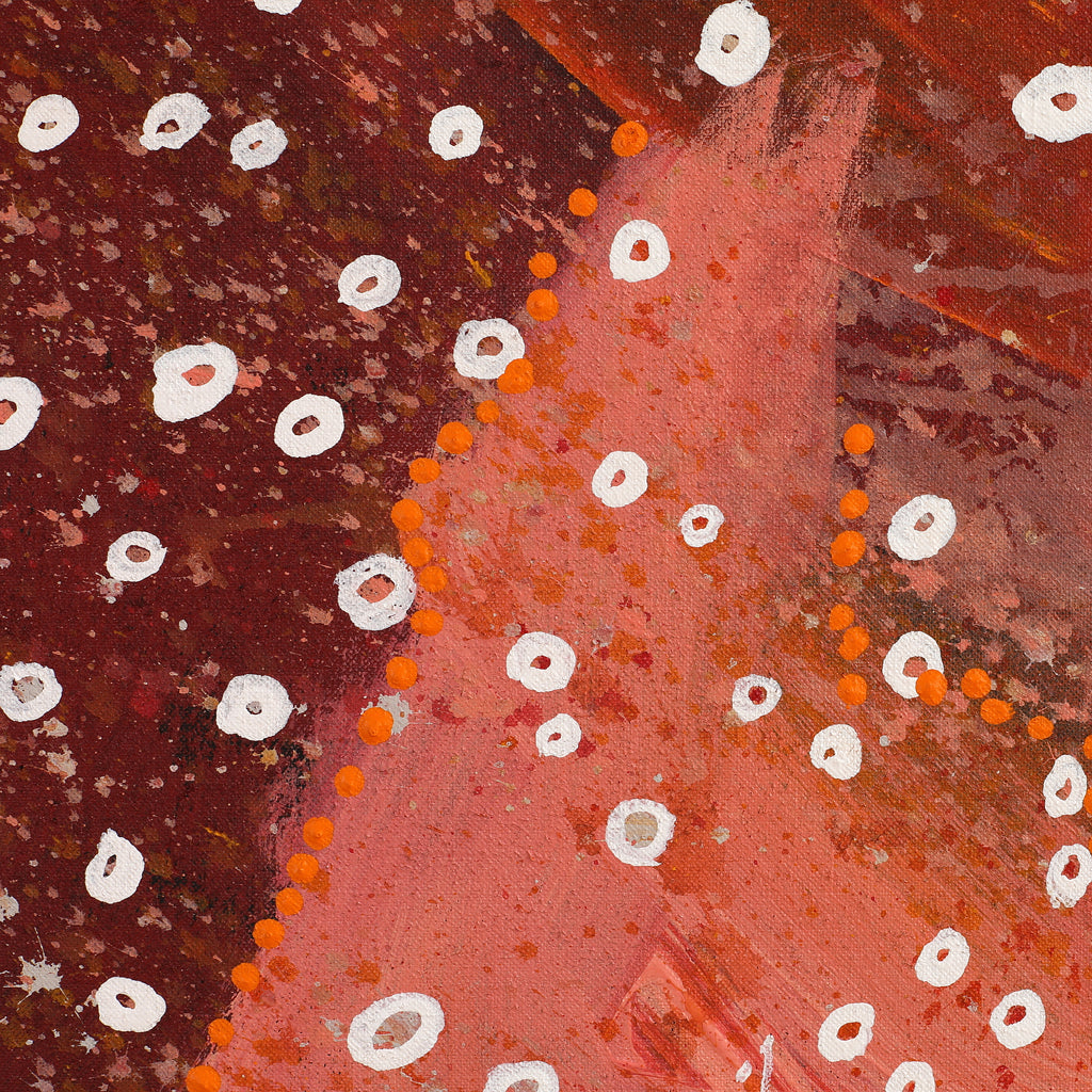 Aboriginal Artwork by Steven Jupurrurla Nelson, Janganpa Jukurrpa (Brush-tail Possum Dreaming) - Mawurrji, 183x91cm