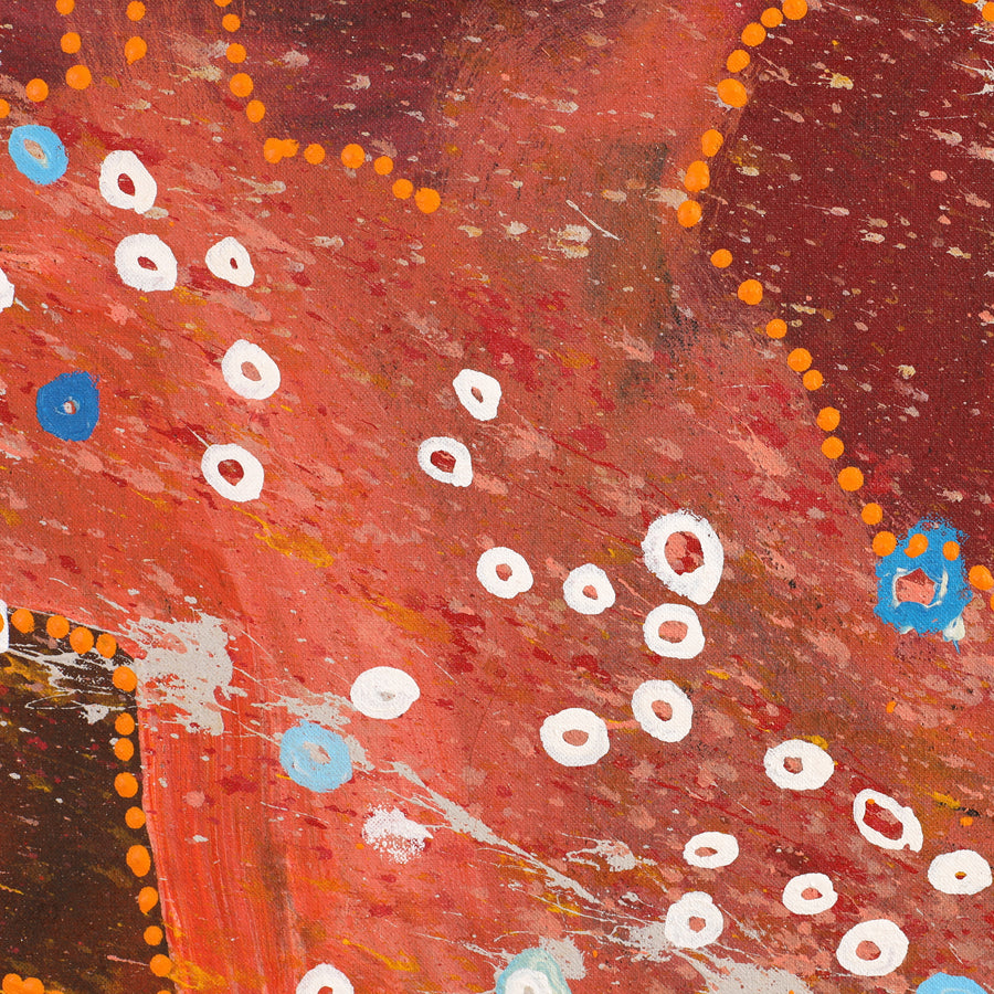 Aboriginal Artwork by Steven Jupurrurla Nelson, Janganpa Jukurrpa (Brush-tail Possum Dreaming) - Mawurrji, 183x91cm