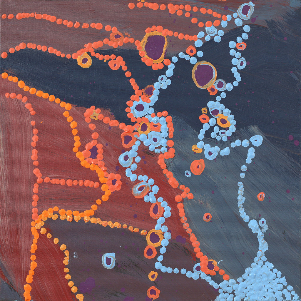 Aboriginal Artwork by Steven Jupurrurla Nelson, Janganpa Jukurrpa (Brush-tail Possum Dreaming) - Mawurrji, 30x30cm - ART ARK®