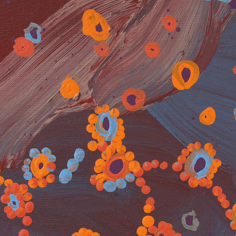 Aboriginal Artwork by Steven Jupurrurla Nelson, Janganpa Jukurrpa (Brush-tail Possum Dreaming) - Mawurrji, 30x30cm