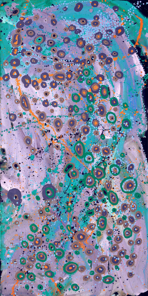 Aboriginal Artwork by Steven Jupurrurla Nelson, Janganpa Jukurrpa (Brush-tail Possum Dreaming) - Mawurrji, 122x61cm