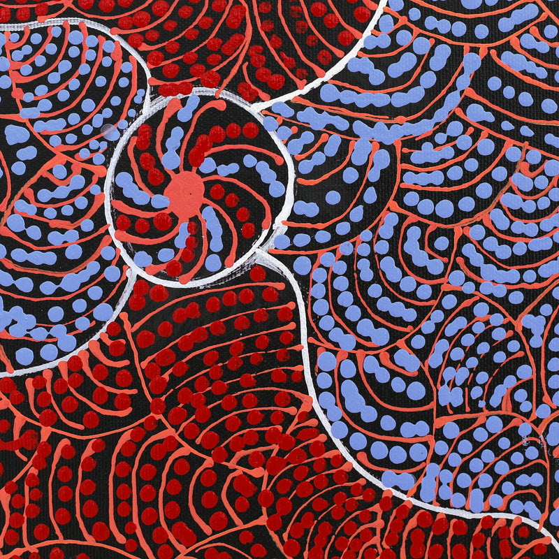 Aboriginal Artwork by Stewart Jupurrurla Kelly, Ngapa Jukurrpa (Water Dreaming) - Wapurtali, 30x30cm