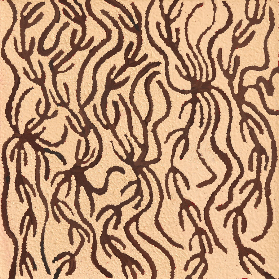 Aboriginal Artwork by Susie Nangala Watson, Mina Mina Dreaming, 46x46cm