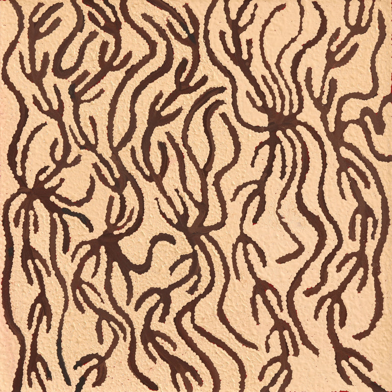 Aboriginal Artwork by Susie Nangala Watson, Mina Mina Dreaming, 46x46cm