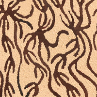 Aboriginal Artwork by Susie Nangala Watson, Mina Mina Dreaming, 46x46cm