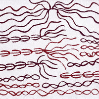 Aboriginal Artwork by Susie Nangala Watson, Mina Mina Dreaming, 61x61cm