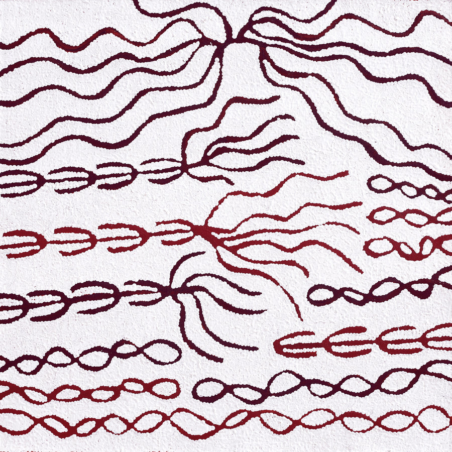 Aboriginal Artwork by Susie Nangala Watson, Mina Mina Dreaming, 61x61cm