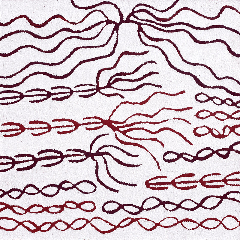 Aboriginal Artwork by Susie Nangala Watson, Mina Mina Dreaming, 61x61cm