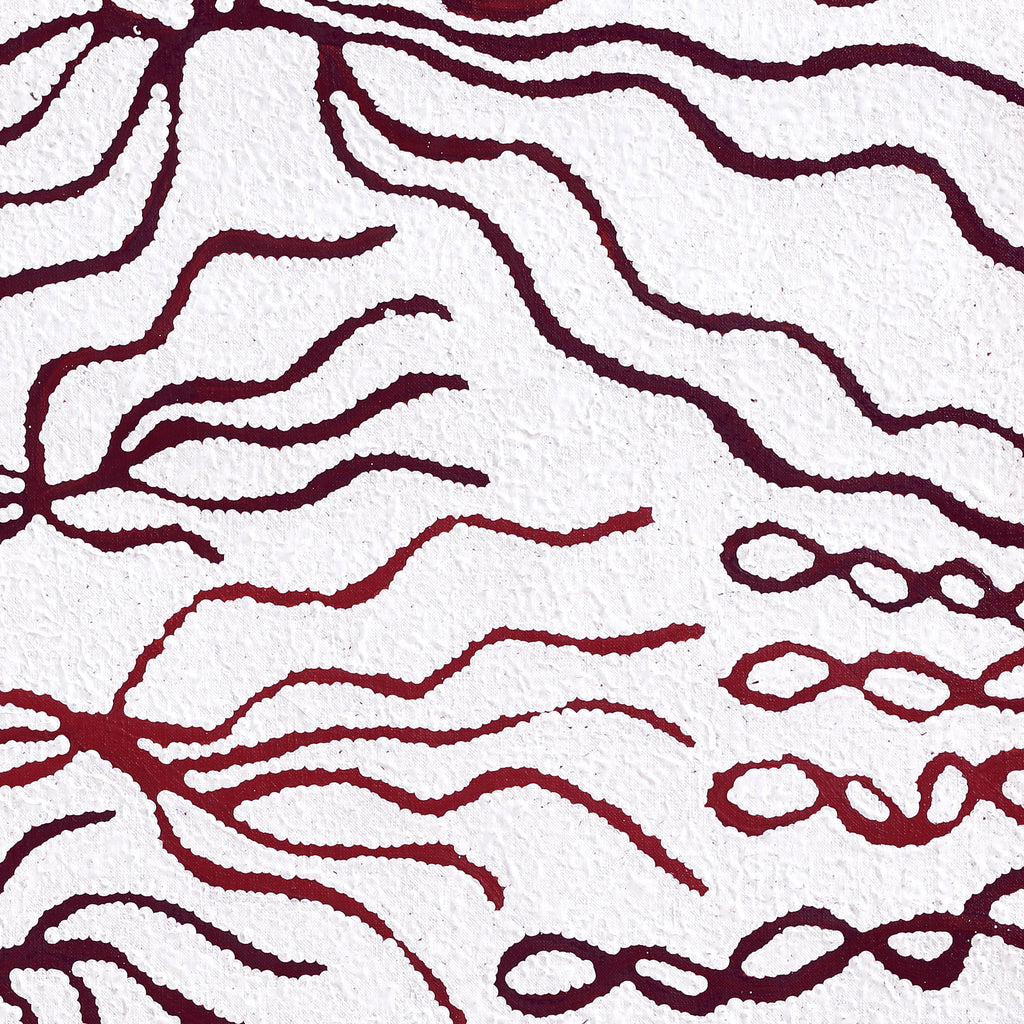 Aboriginal Artwork by Susie Nangala Watson, Mina Mina Dreaming, 61x61cm