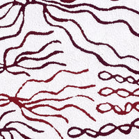 Aboriginal Artwork by Susie Nangala Watson, Mina Mina Dreaming, 61x61cm
