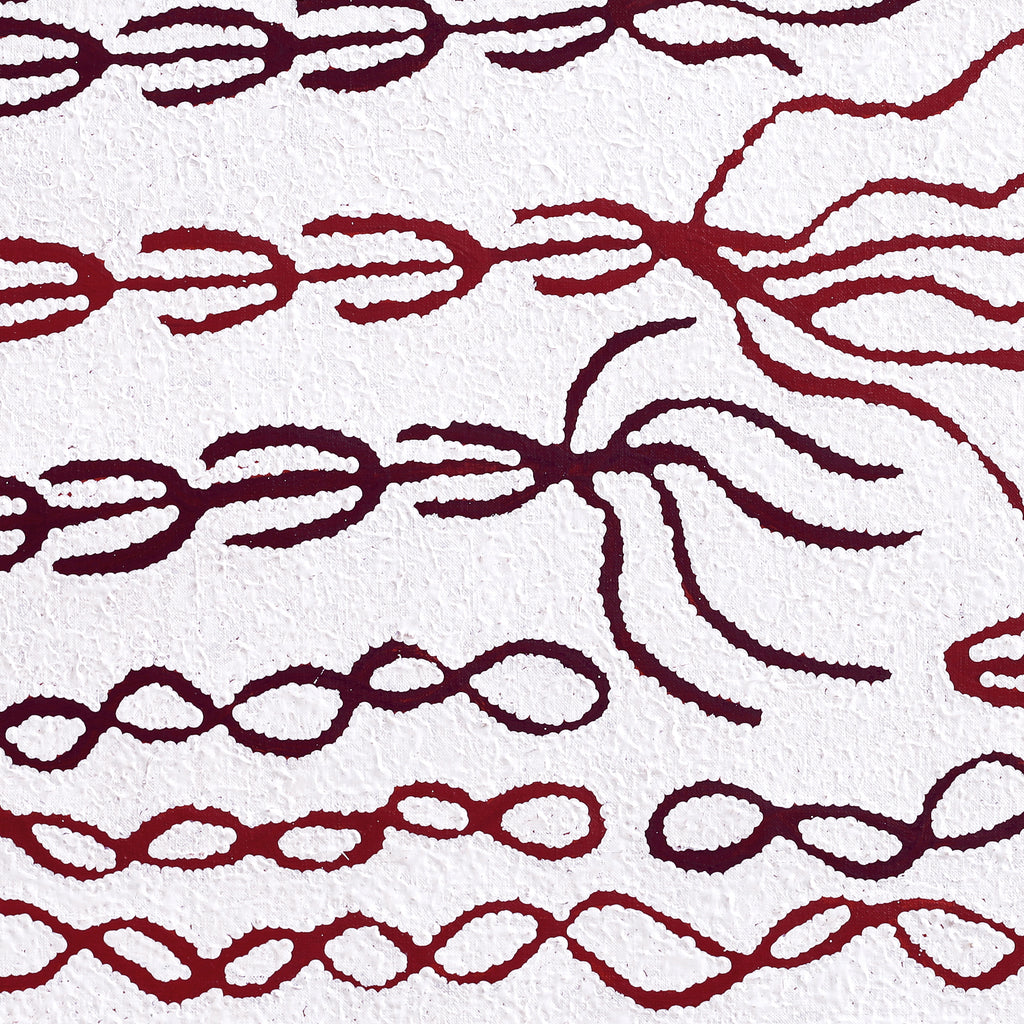 Aboriginal Artwork by Susie Nangala Watson, Mina Mina Dreaming, 61x61cm