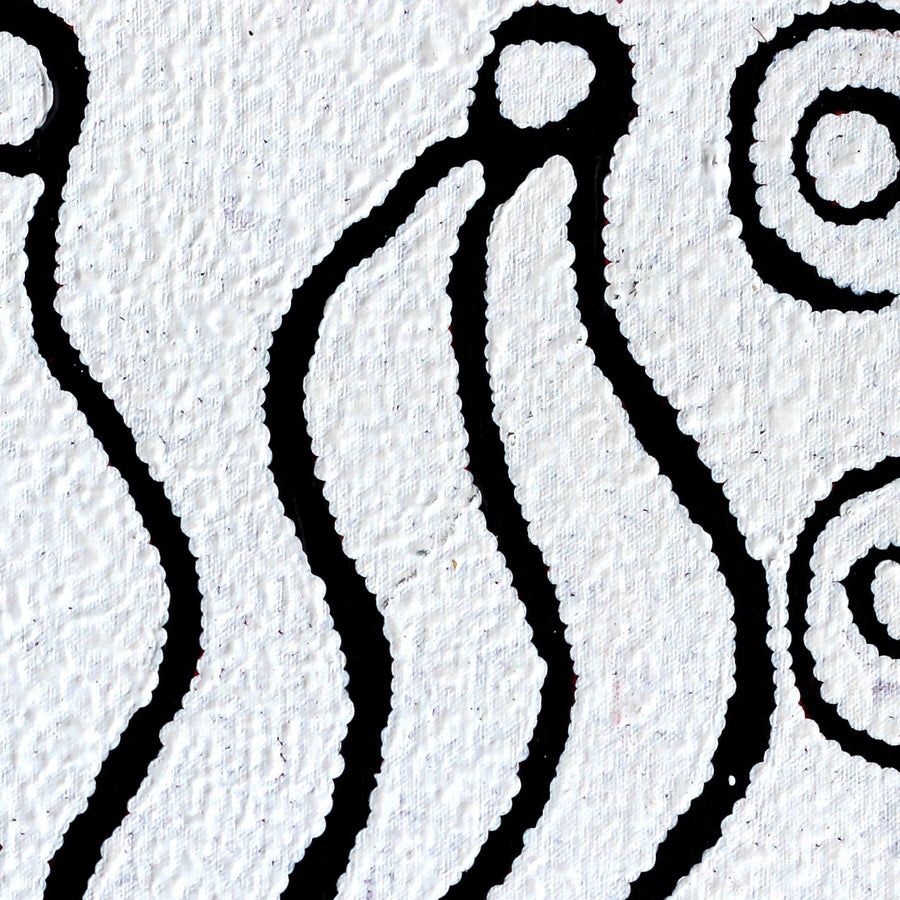 Aboriginal Artwork by Susie Nangala Watson, Mina Mina Dreaming, 46x46cm