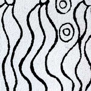 Aboriginal Artwork by Susie Nangala Watson, Mina Mina Dreaming, 46x46cm - ART ARK®