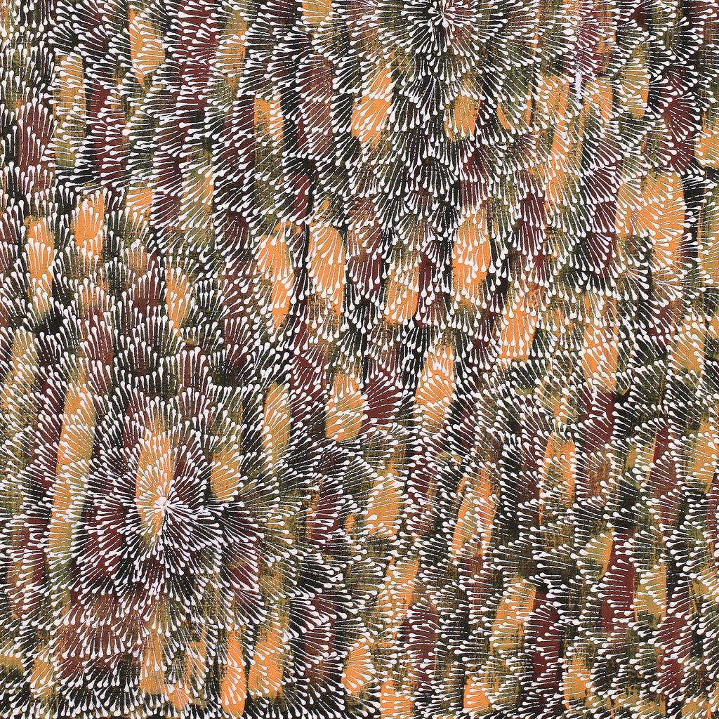 Aboriginal Artwork by Sylvaria Napurrurla Walker, Jitilypuru Jukurrpa, 107x76cm