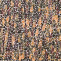 Aboriginal Artwork by Sylvaria Napurrurla Walker, Jitilypuru Jukurrpa, 107x76cm