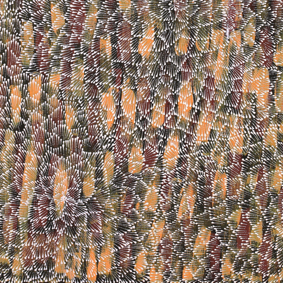 Aboriginal Artwork by Sylvaria Napurrurla Walker, Jitilypuru Jukurrpa, 107x76cm