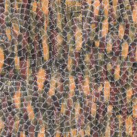 Aboriginal Artwork by Sylvaria Napurrurla Walker, Jitilypuru Jukurrpa, 107x76cm