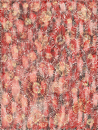 Aboriginal Artwork by Sylvaria Napurrurla Walker, Jitilypuru Jukurrpa, 61x46cm