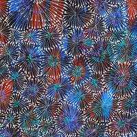 Aboriginal Artwork by Sylvaria Napurrurla Walker, Jitilypuru Jukurrpa, 61x46cm