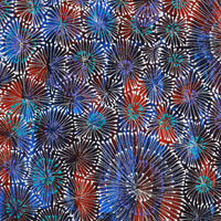 Aboriginal Artwork by Sylvaria Napurrurla Walker, Jitilypuru Jukurrpa, 61x46cm