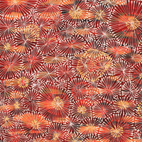 Aboriginal Artwork by Sylvaria Napurrurla Walker, Jitilypuru Jukurrpa, 61x61cm