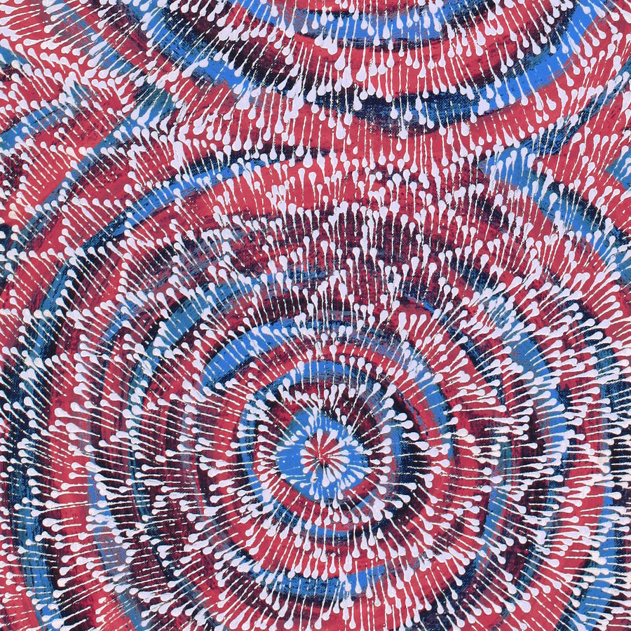 Aboriginal Artwork by Sylvaria Napurrurla Walker, Jitilypuru Jukurrpa, 91x30cm