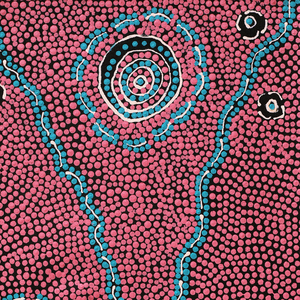 Aboriginal Artwork by Sylvia Napanangka Drover, Nguru Yurntumu-wana (Country around Yuendumu), 61x30cm