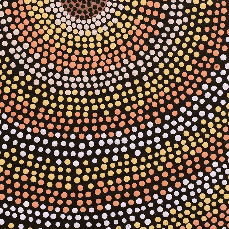 Aboriginal Artwork by Sylvia Napanangka Drover, Nguru Yurntumu-wana (Country around Yuendumu), 50x40cm