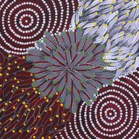 Aboriginal Artwork by Sylviana Napurrurla Briscoe, Watiya-warnu Jukurrpa (Seed Dreaming), 30x30cm