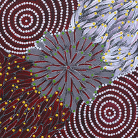 Aboriginal Art by Sylviana Napurrurla Briscoe, Watiya-warnu Jukurrpa (Seed Dreaming), 30x30cm - ART ARK®