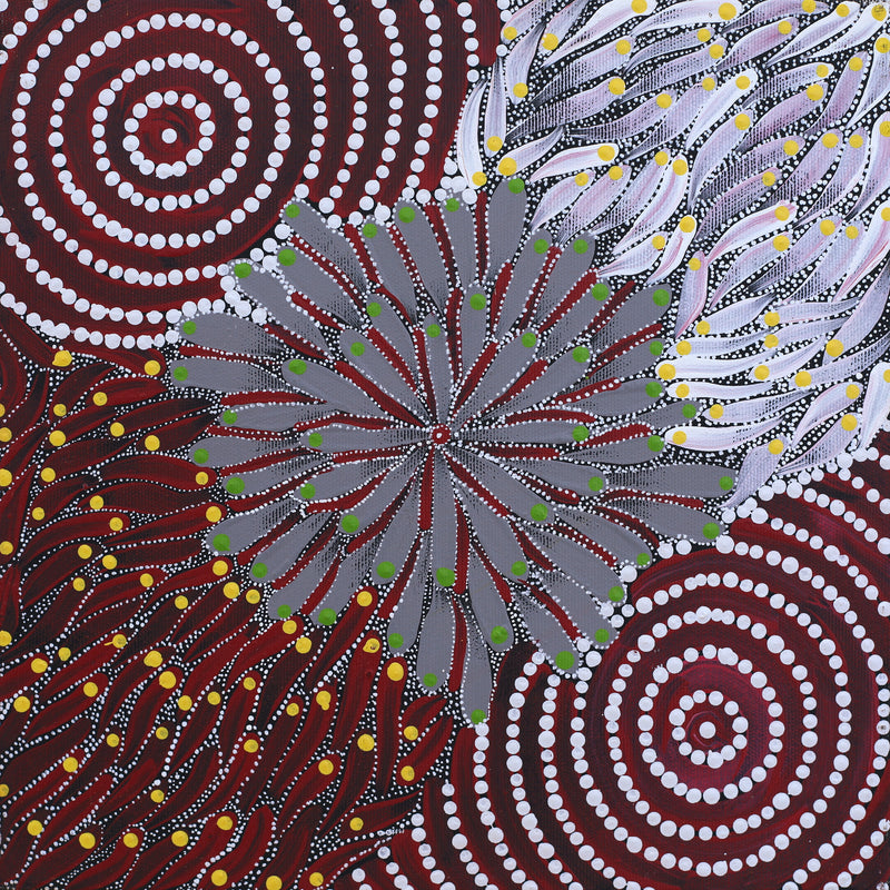 Aboriginal Artwork by Sylviana Napurrurla Briscoe, Watiya-warnu Jukurrpa (Seed Dreaming), 30x30cm