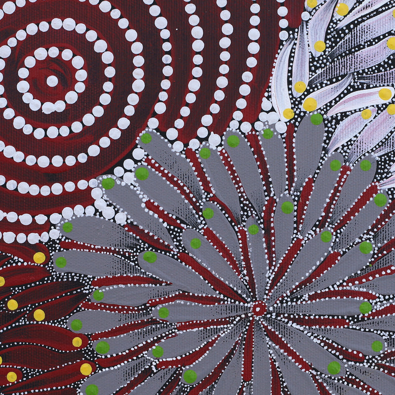 Aboriginal Artwork by Sylviana Napurrurla Briscoe, Watiya-warnu Jukurrpa (Seed Dreaming), 30x30cm