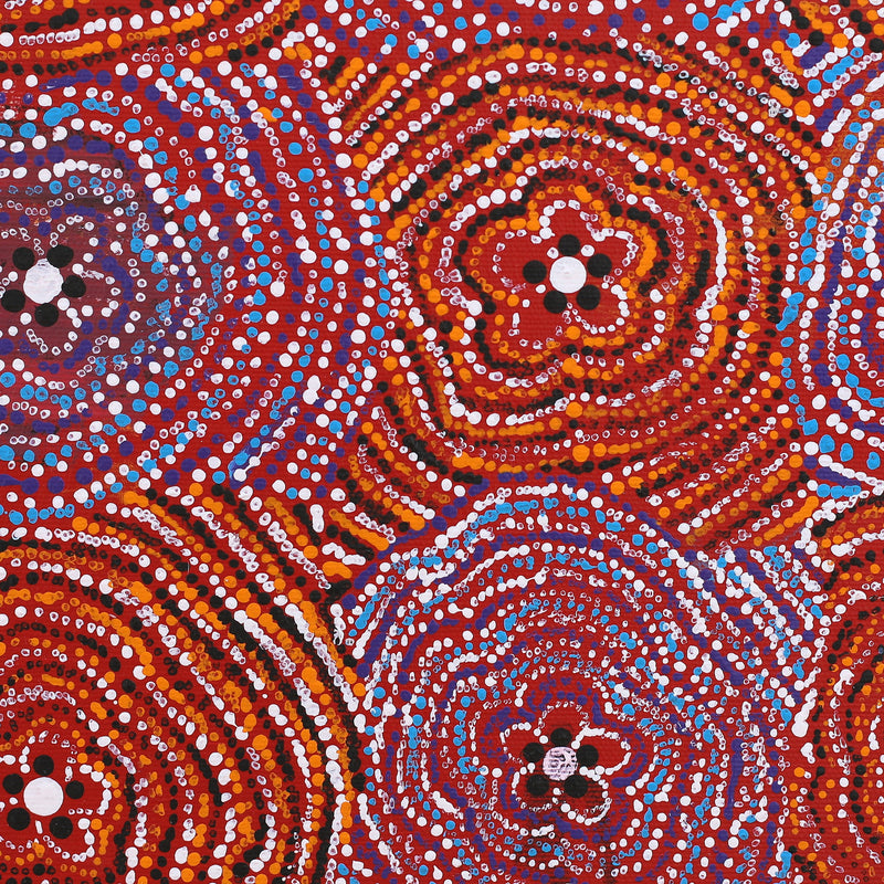 Aboriginal Artwork by Tamika Nangala Cook, Ngurlu Jukurrpa (Native Seed Dreaming), 30x30cm