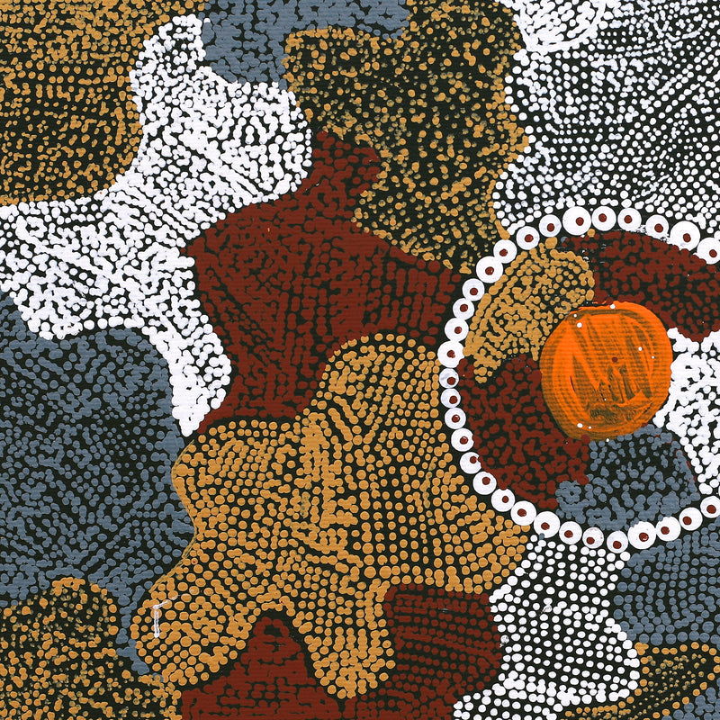 Aboriginal Artwork by Tanya Nungarrayi Collins, Watiya-warnu Jukurrpa (Seed Dreaming), 30x30cm