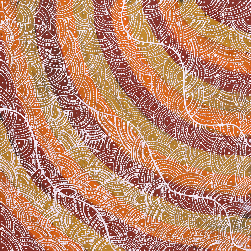 Aboriginal Artwork by Tanya Nungarrayi Collins, Watiya-warnu Jukurrpa (Seed Dreaming), 40x40cm