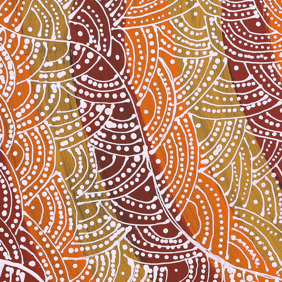 Aboriginal Artwork by Tanya Nungarrayi Collins, Watiya-warnu Jukurrpa (Seed Dreaming), 40x40cm