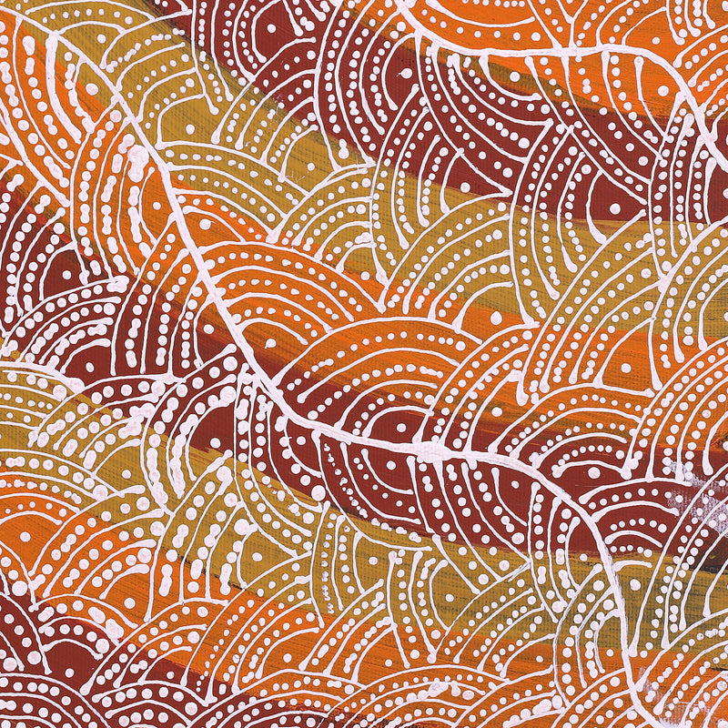 Aboriginal Artwork by Tanya Nungarrayi Collins, Watiya-warnu Jukurrpa (Seed Dreaming), 40x40cm