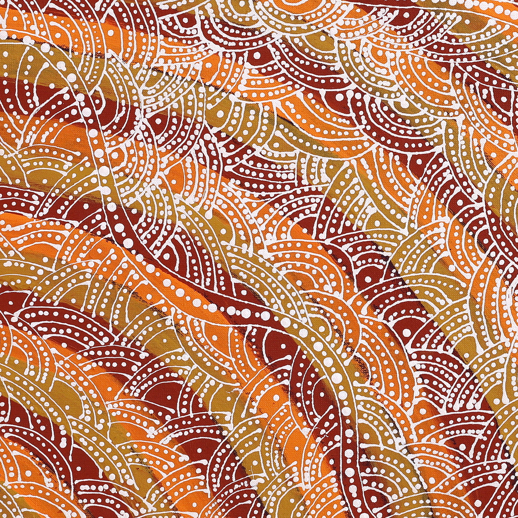 Aboriginal Artwork by Tanya Nungarrayi Collins, Watiya-warnu Jukurrpa (Seed Dreaming), 61x61cm